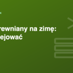 Taras drewniany na zimę – kiedy olejować i jak go zabezpieczyć